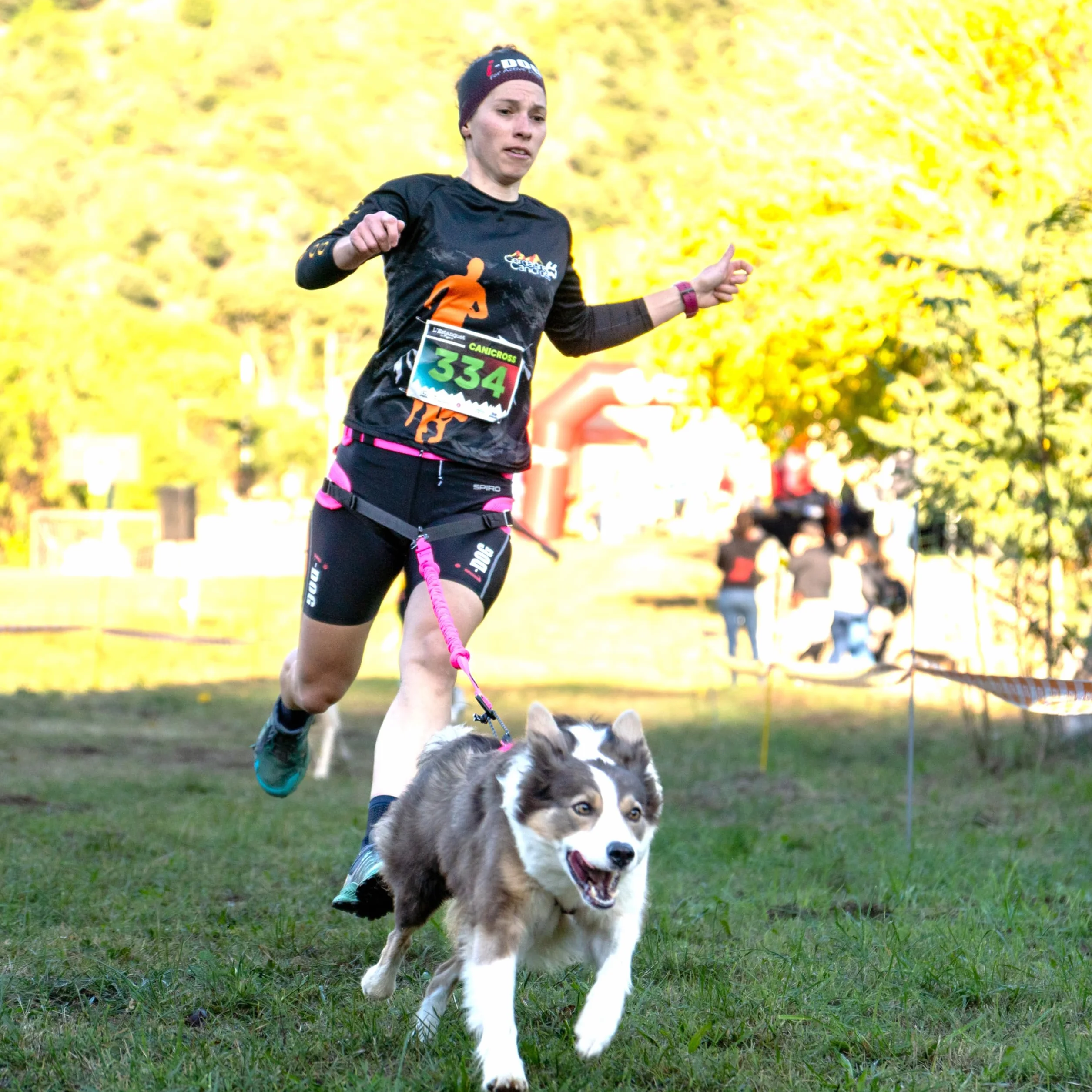 Baudrier Ceinture RAIDLIGHT I-dog Marque Française Taille Unique Rose pour Chien Cross Rando Jogging Trail