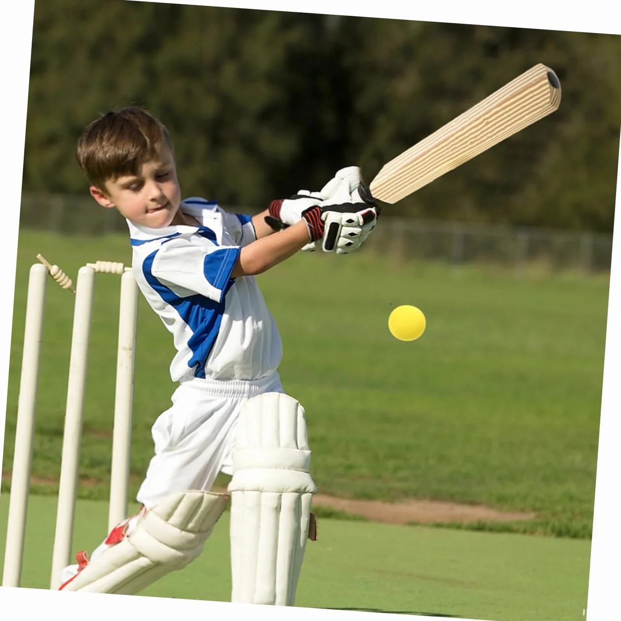 Toyvian Batte de Baseball en Plastique EVA 4Pcs Équipement d'Entraînement Sport Familial