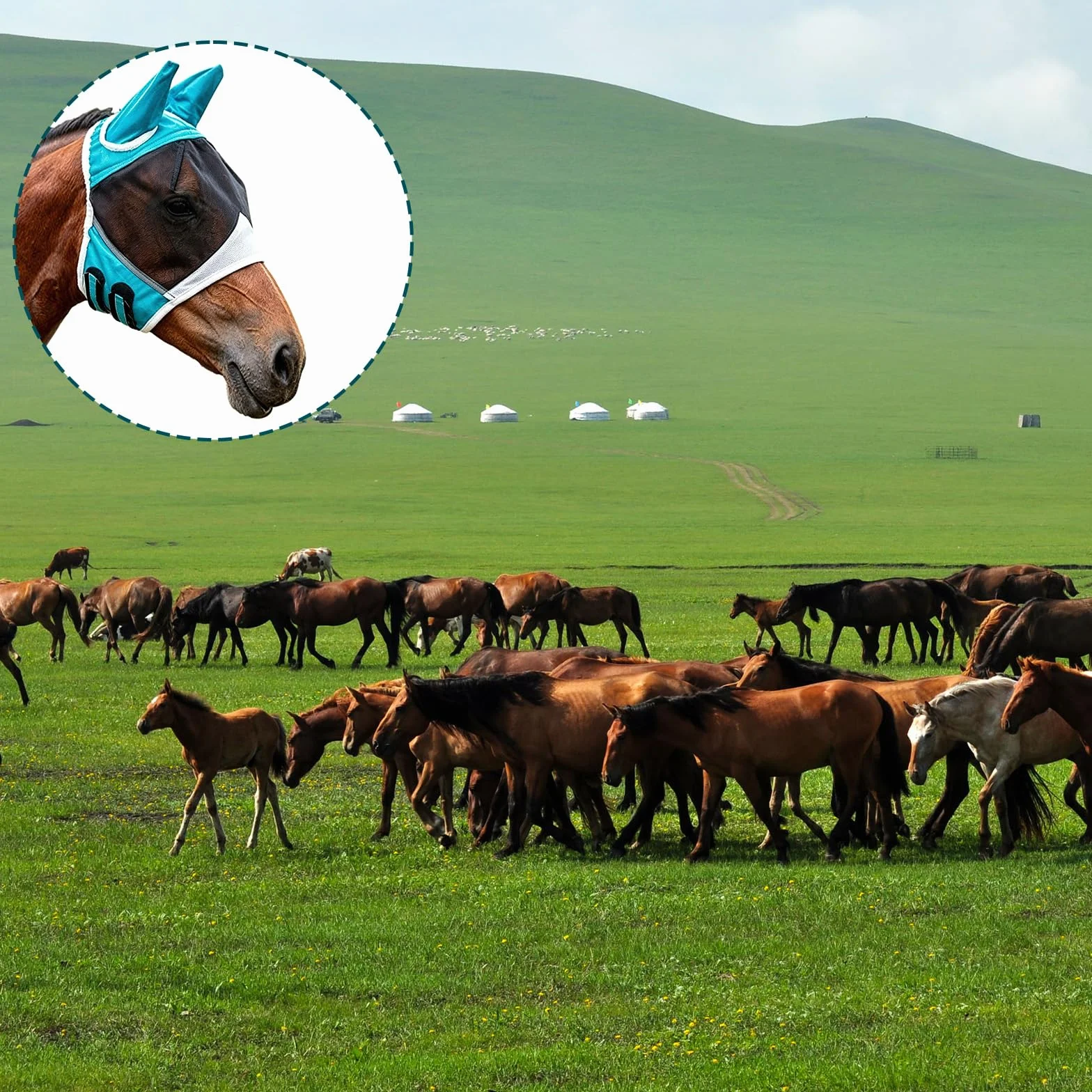 Masque Anti-Mouches pour Chevaux Bleu Protection UV (L)