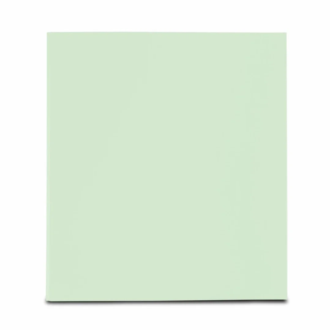 Hama Classeur à négatifs (4 anneaux, niveau de remplissage 39 mm, feuilles rectangulaires, album à négatifs d'une pellicule photo) Vert pale