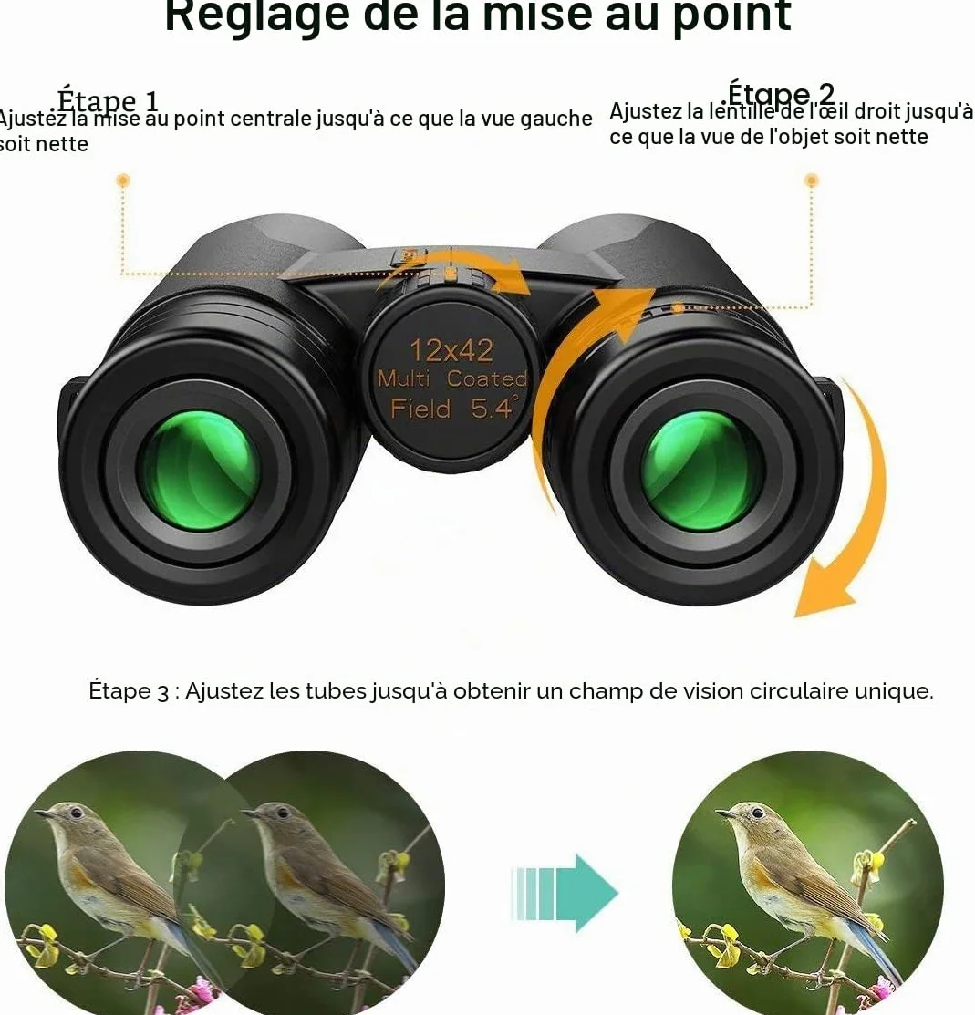 Kylietech 12x42 Jumelles pour Adultes BAK4 Prism FMC Lentille Compact Antibuée Étanche Observation Oiseaux Voyage Chasse Concerts