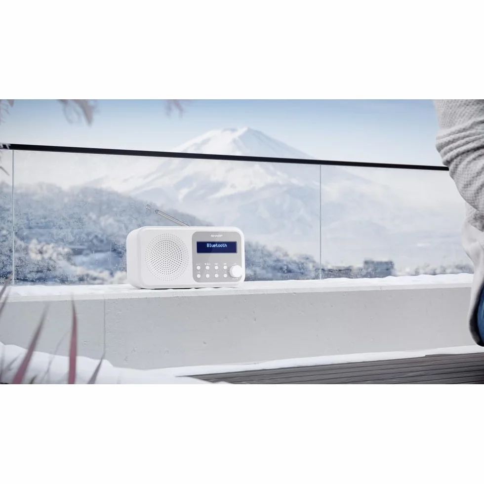 SHARP DR-P420 (WH) Radio numérique Portable Tokyo (Dab/Dab+/FM avec RDS, Bluetooth, USB ou Piles) Blanc
