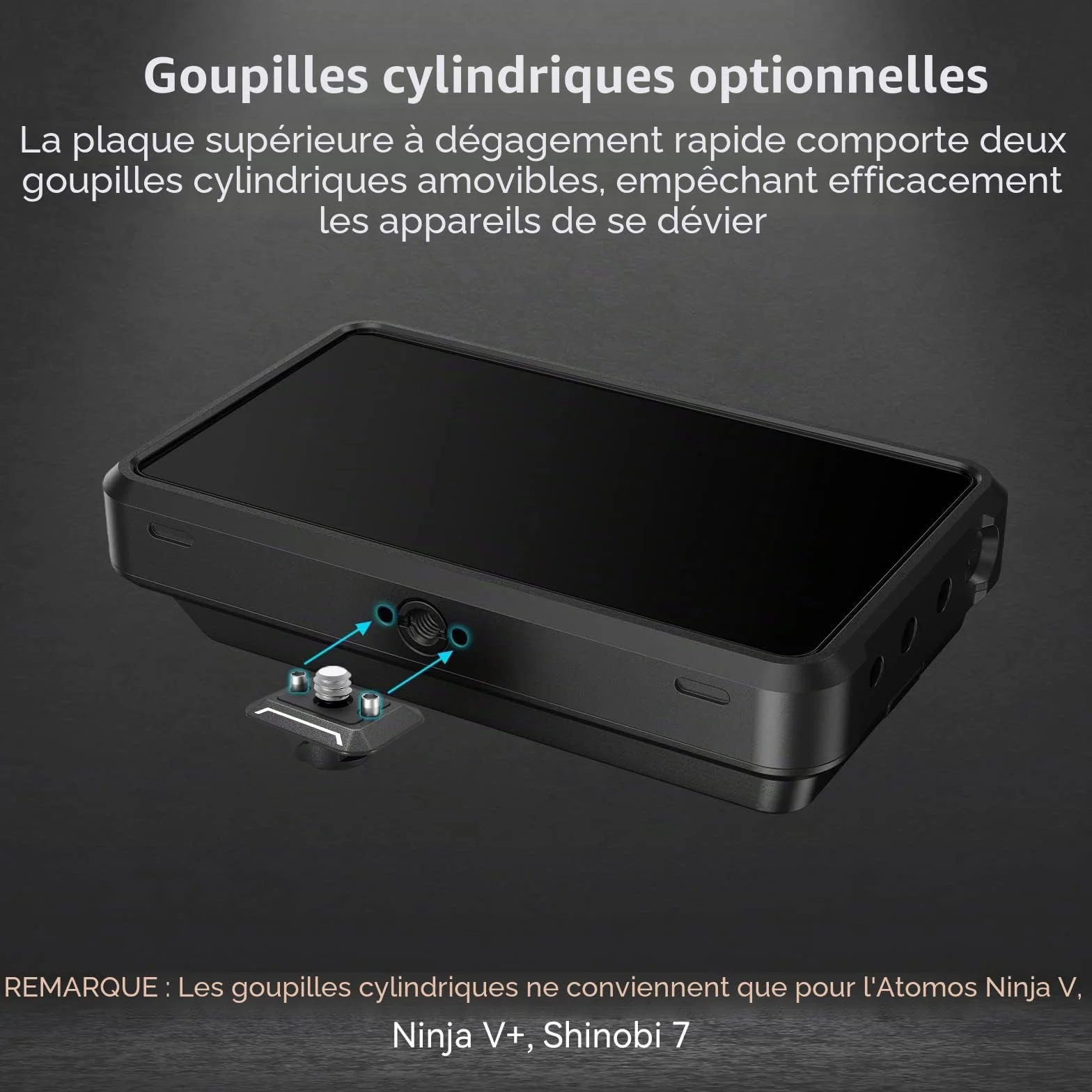 SMALLRIG Mini Plaque à Dégagement Rapide avec Vis 1/4", HawkLock Drop-in QR Plate Camera Mount pour Canon pour Sony pour Trépied, Monopode, Caméscope, Lumière LED, Caméra d'action, Moniteur - 3513C