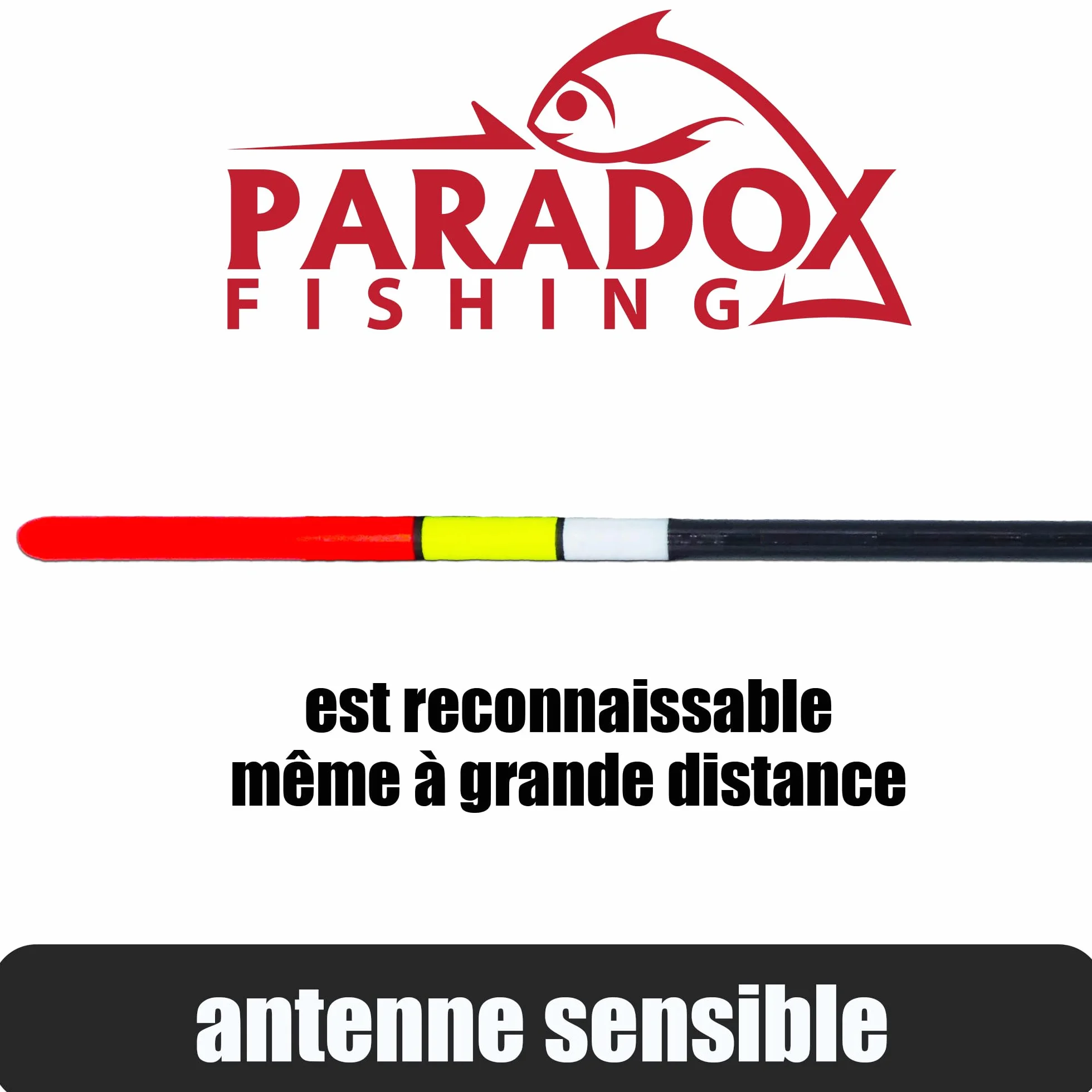 Paradox Fishing Lot de 5 flotteurs de pêche 2g 4g 8g pré-blanchi