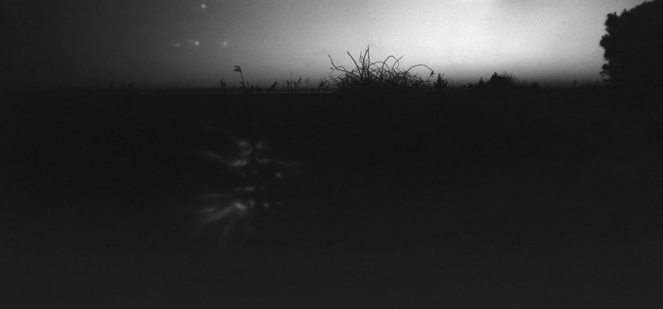 Anton & HOLGA 120N Pan 6x12 Format Moyen Panorama (Film Non Inclus)