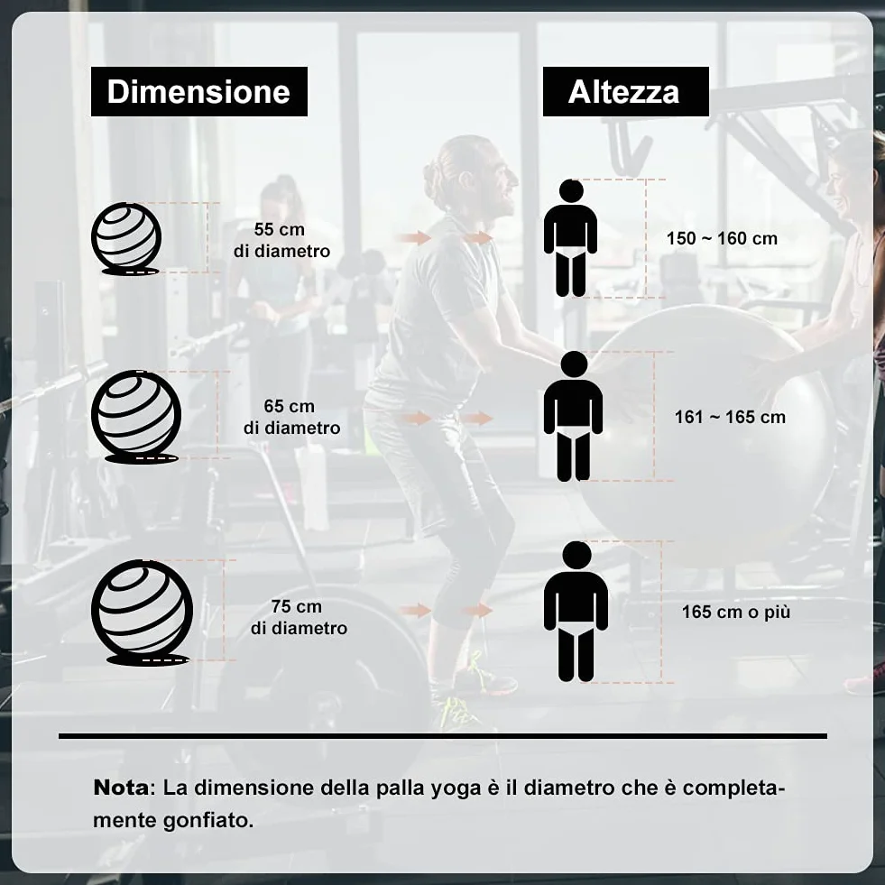 Ballon de Fitness Glymnis 55cm 65cm 75cm Balle d’Exercice Antidérapant 300 kg