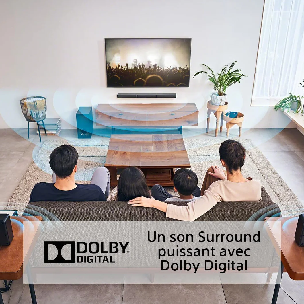 Sony HT-S40R Barre de Son 5.1ch Home Cinéma sans Fil Noir