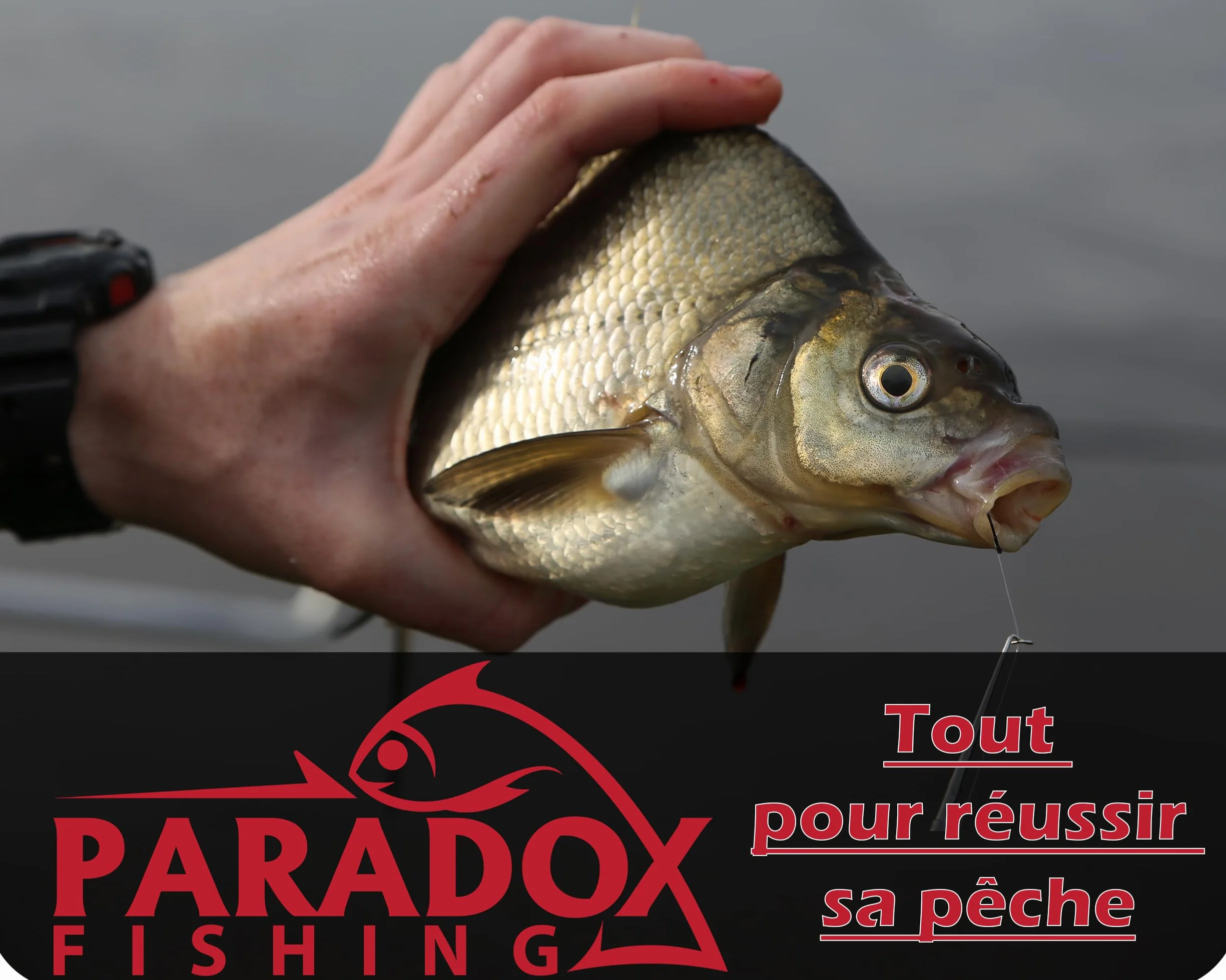 Paradox Fishing Plomb Peche 0,1g-2,0g