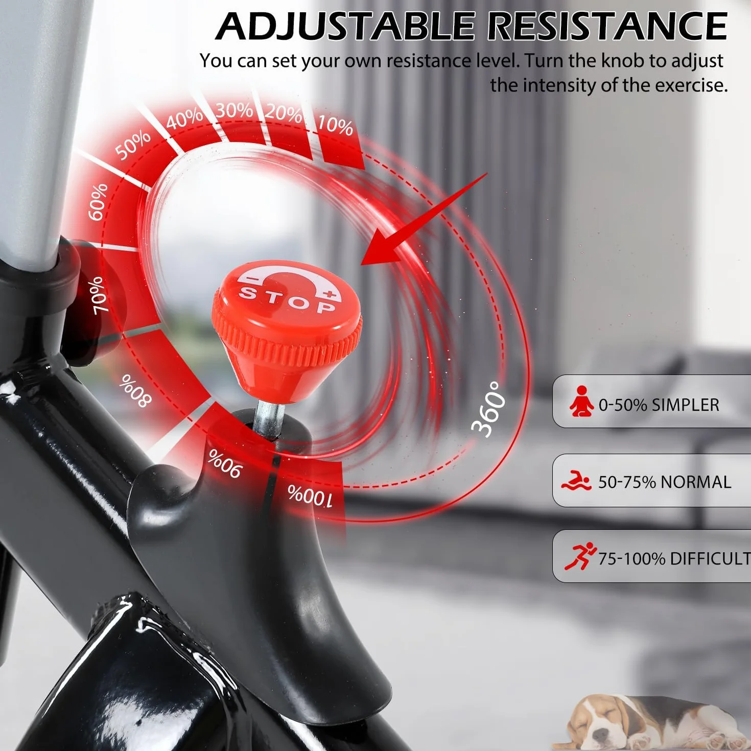 ISE Velo Appartement Volant d'Inertie 13KG Cardio Silencieux Réglable en Hauteur