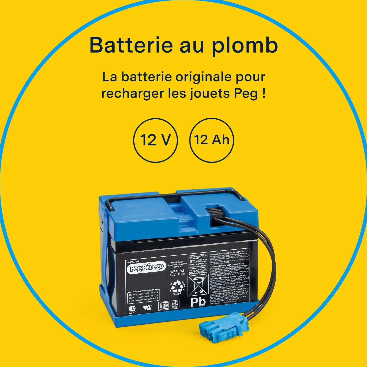PEG Perego Batterie 12V 12Ah Pièce de Rechange Rechargeable pour Véhicules Électriques