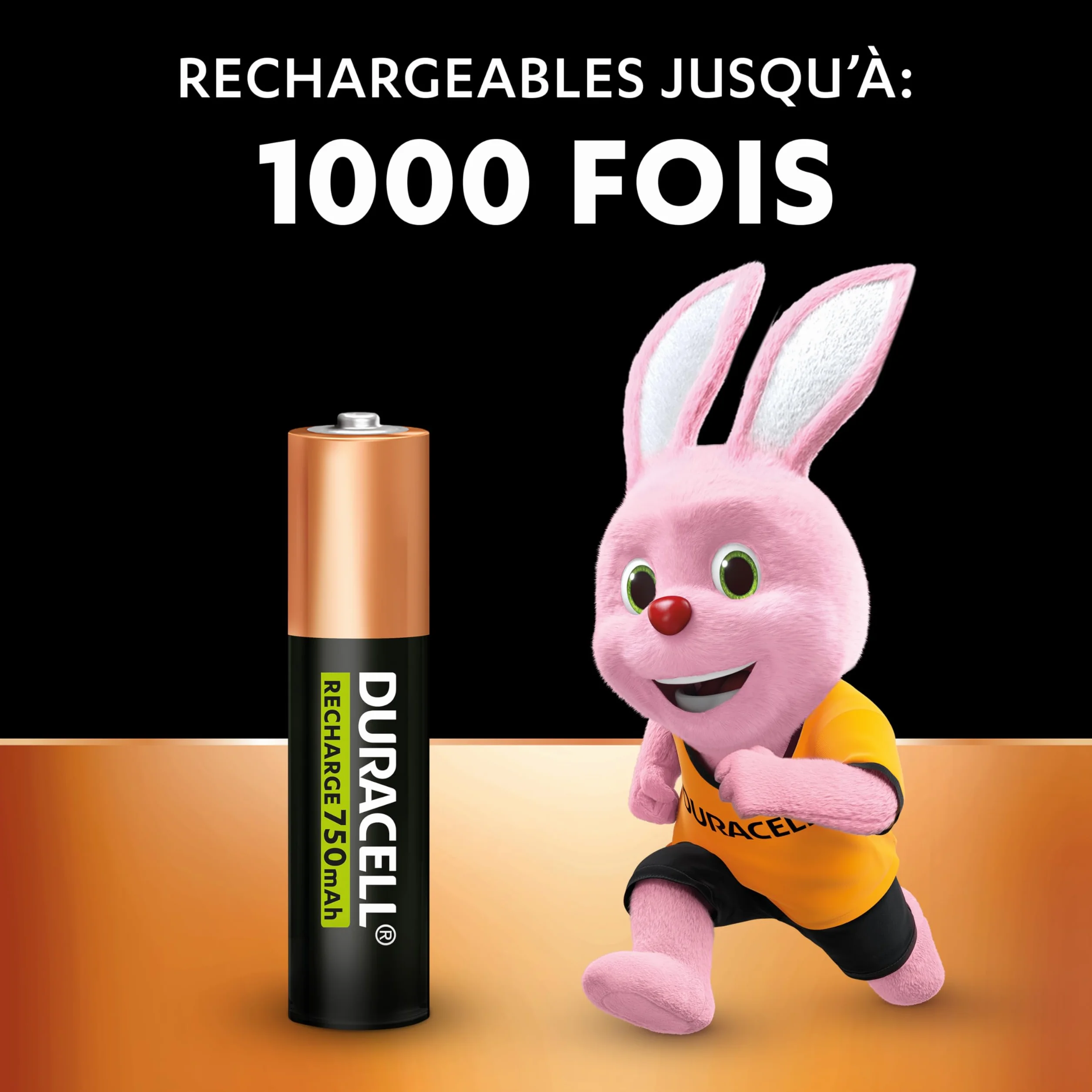 Duracell Piles AAA Rechargeables 750 mAh NiMH Lot de 4 1000 Recharges Pré-chargées