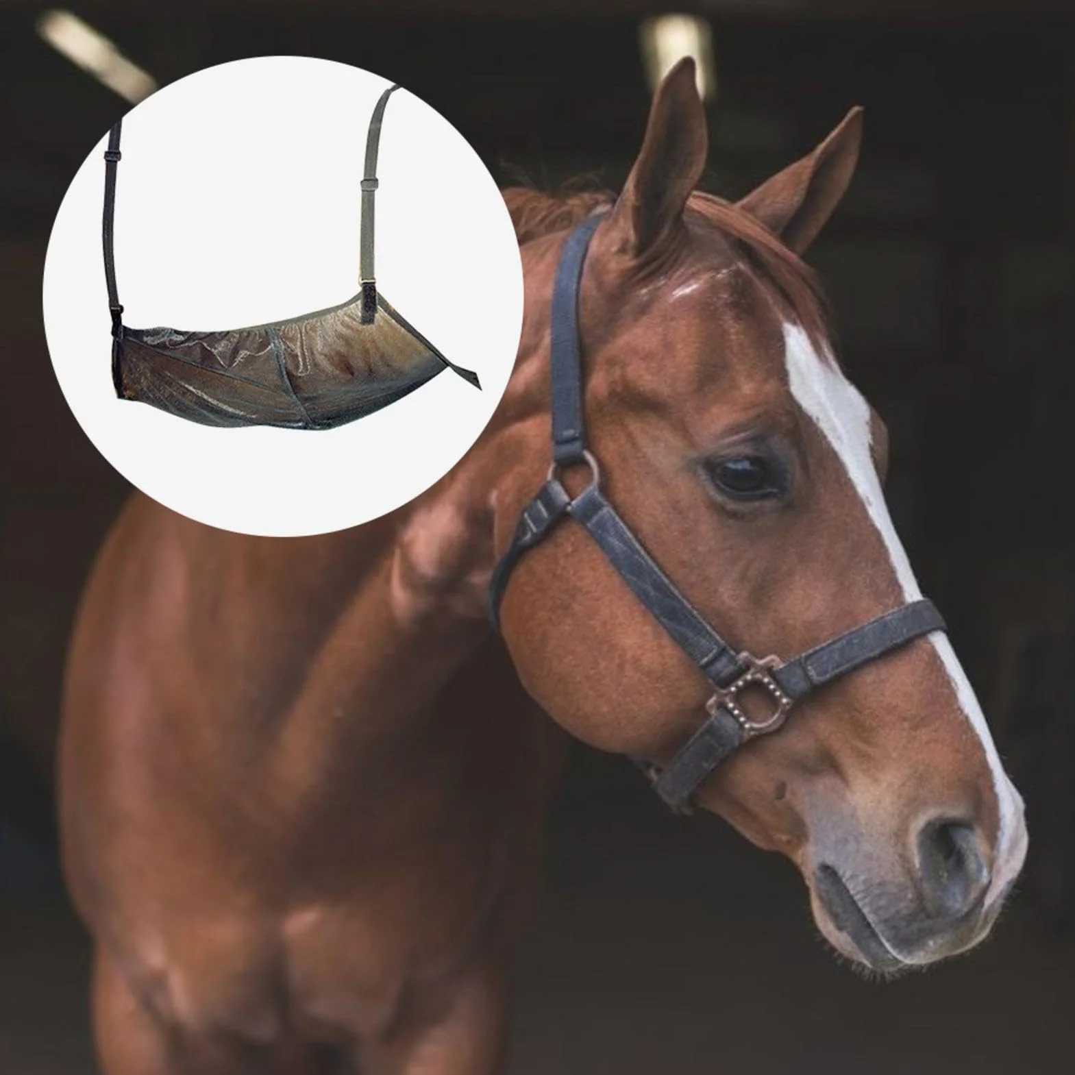 Protection ventilée pour cheval, filet abdominal respirant, 94 x 71 cm, large