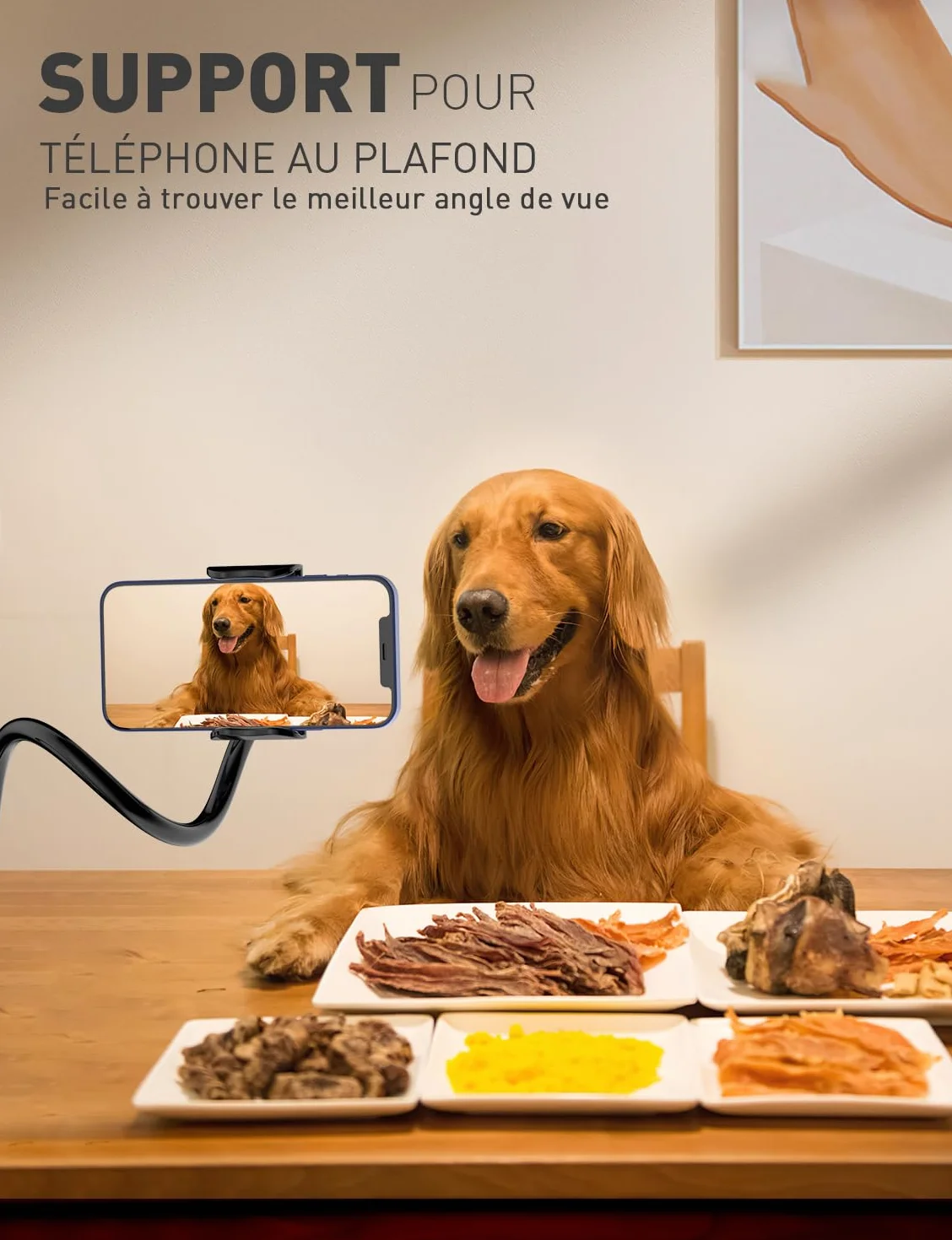 TRYONE Support de téléphone pour lit Flexible Long Bras réglable de en col de Cygne pour iPhone, Smartphone, Longueur Totale 90cm/35 Pouces