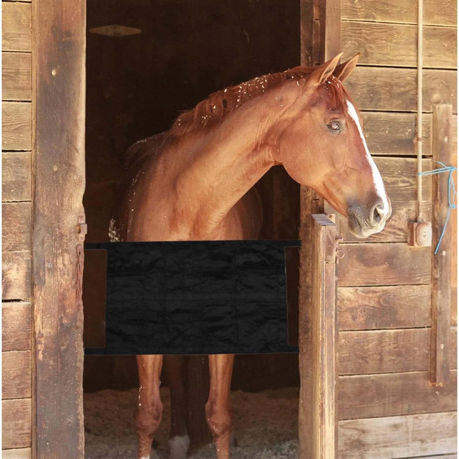 Porte de Box pour Chevaux avec Sangles Réglables - Protection pour Écuries et Centres Équestres