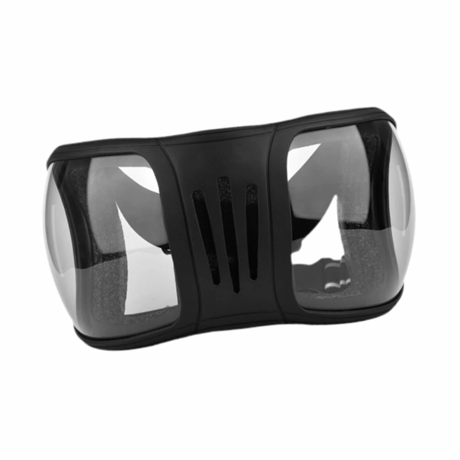 Lunettes de Chevaux Anti-poussière UV400 15x27 cm Clair et Noir