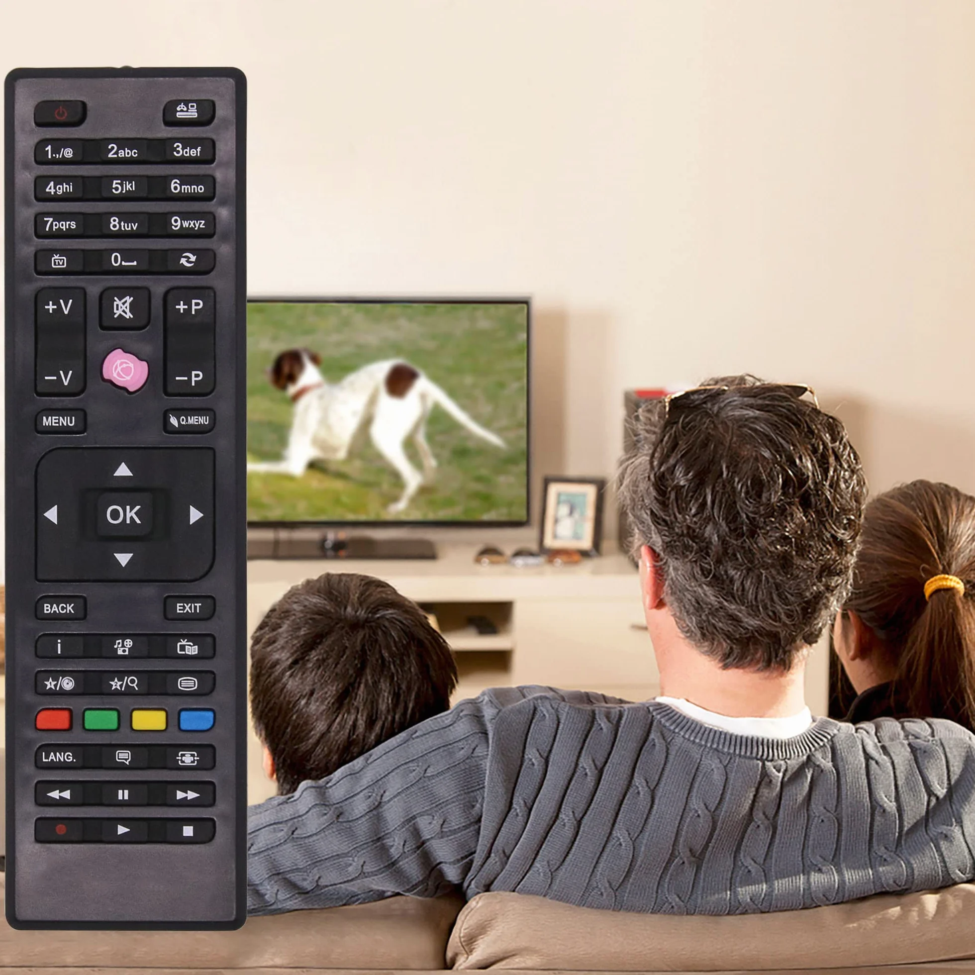 Riry RC4875 Télécommande Universelle pour TV Tucson Continental Edison Techwood Listo Clayton AYA Grandin Hyudai Technika Telefunken Edenwood Digihome Oceanic - Aucune Configuration Nécessaire