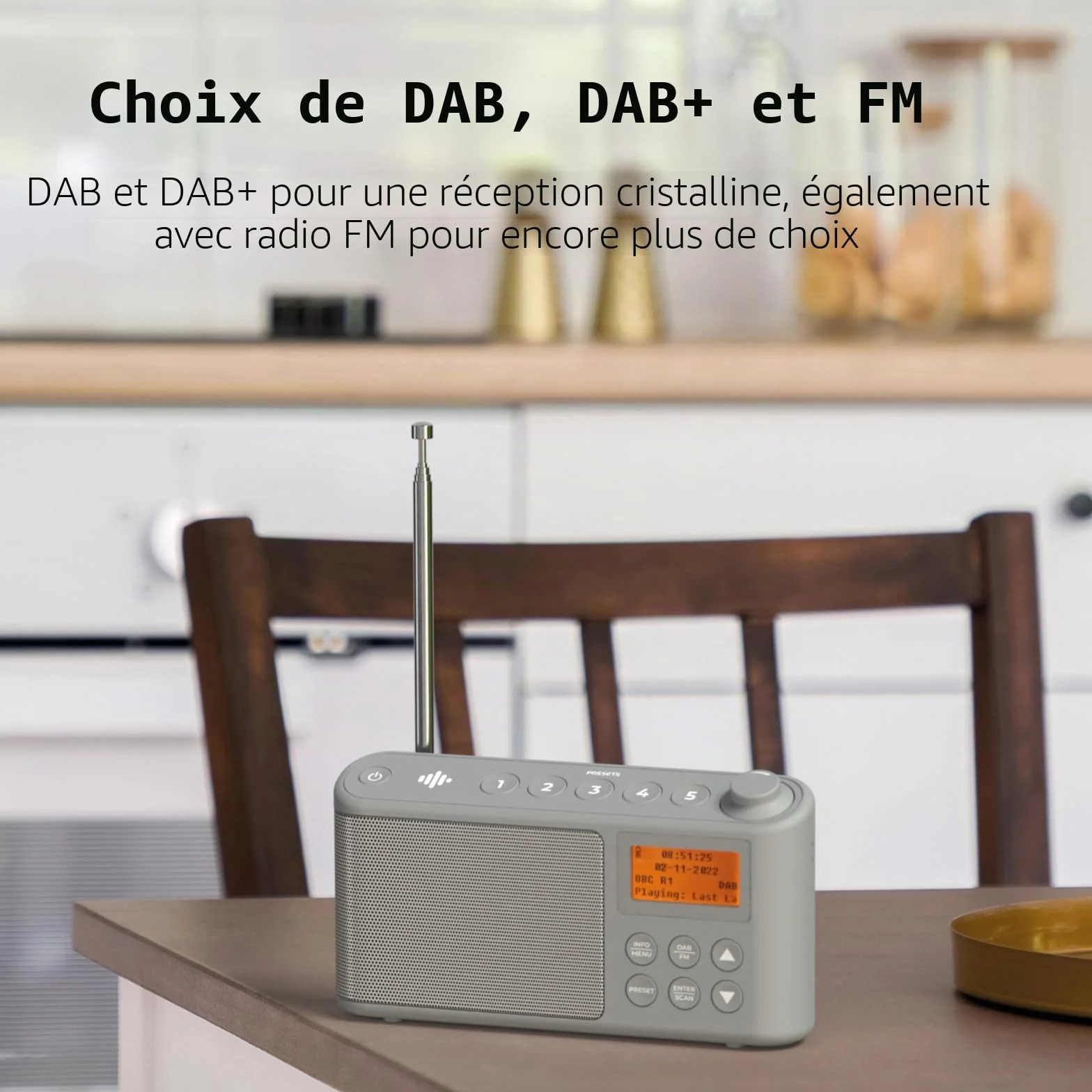 Radio DAB/DAB+ FM Portable Numérique avec Batterie et Chargement USB 15 Heures Gris