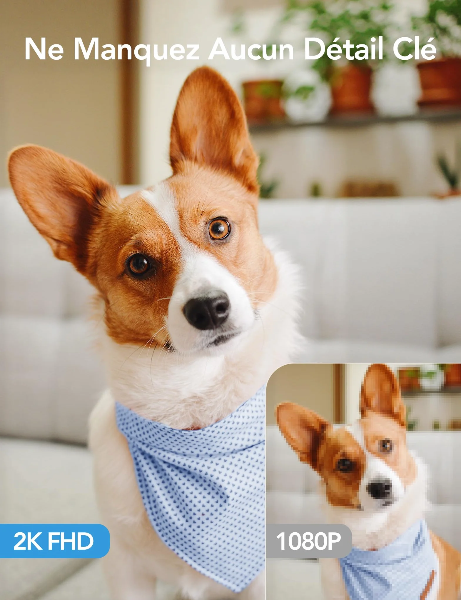 GNCC 2K 3MP Caméra Surveillance WiFi Interieur 360° Caméra Connectée Smartphone pour Bébé/Animaux Détection IA Audio bidirectionnel Alertes APP 2,4GHz Compatible Alexa