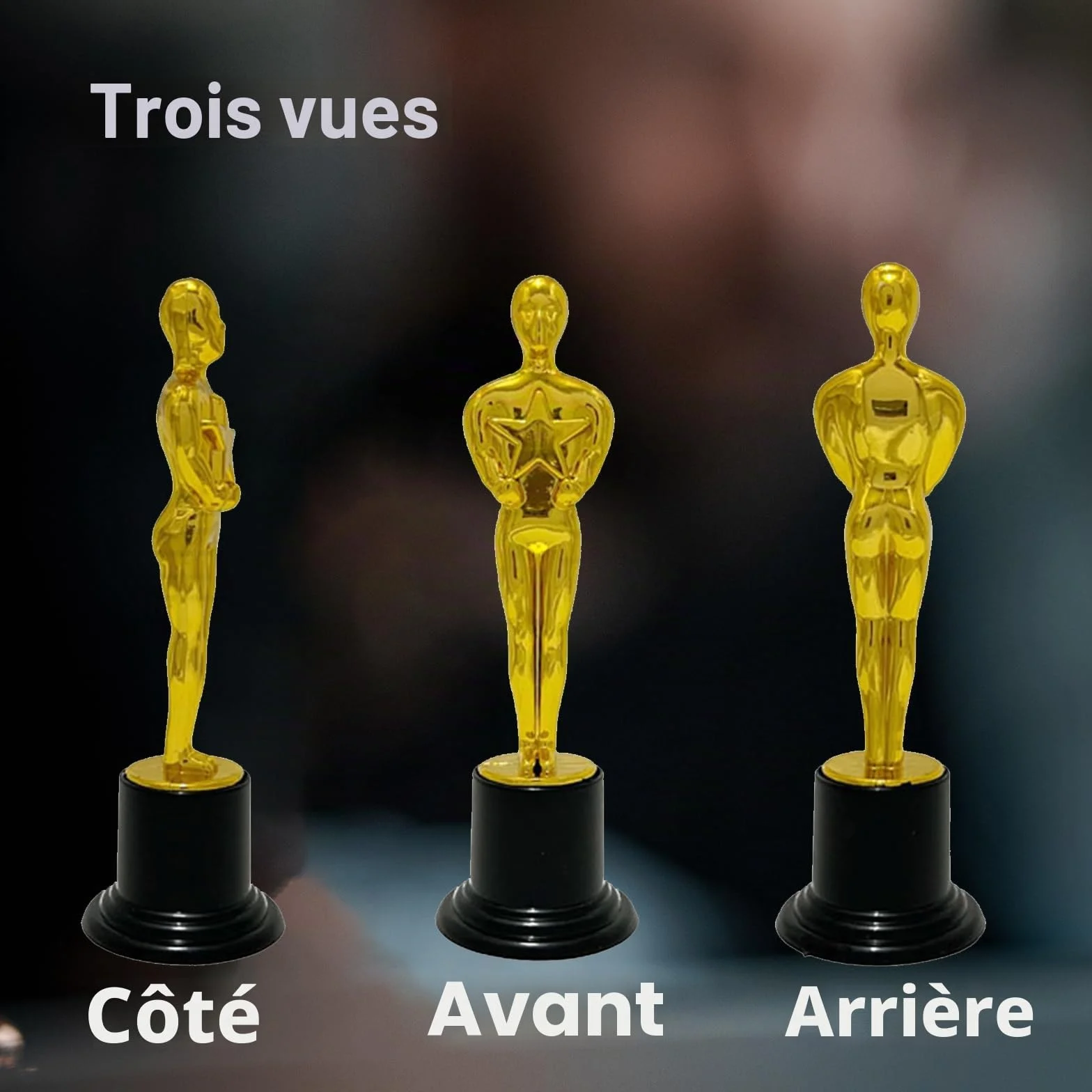 Trophée Football Personnalisable 12 Pièces pour Sports Awards