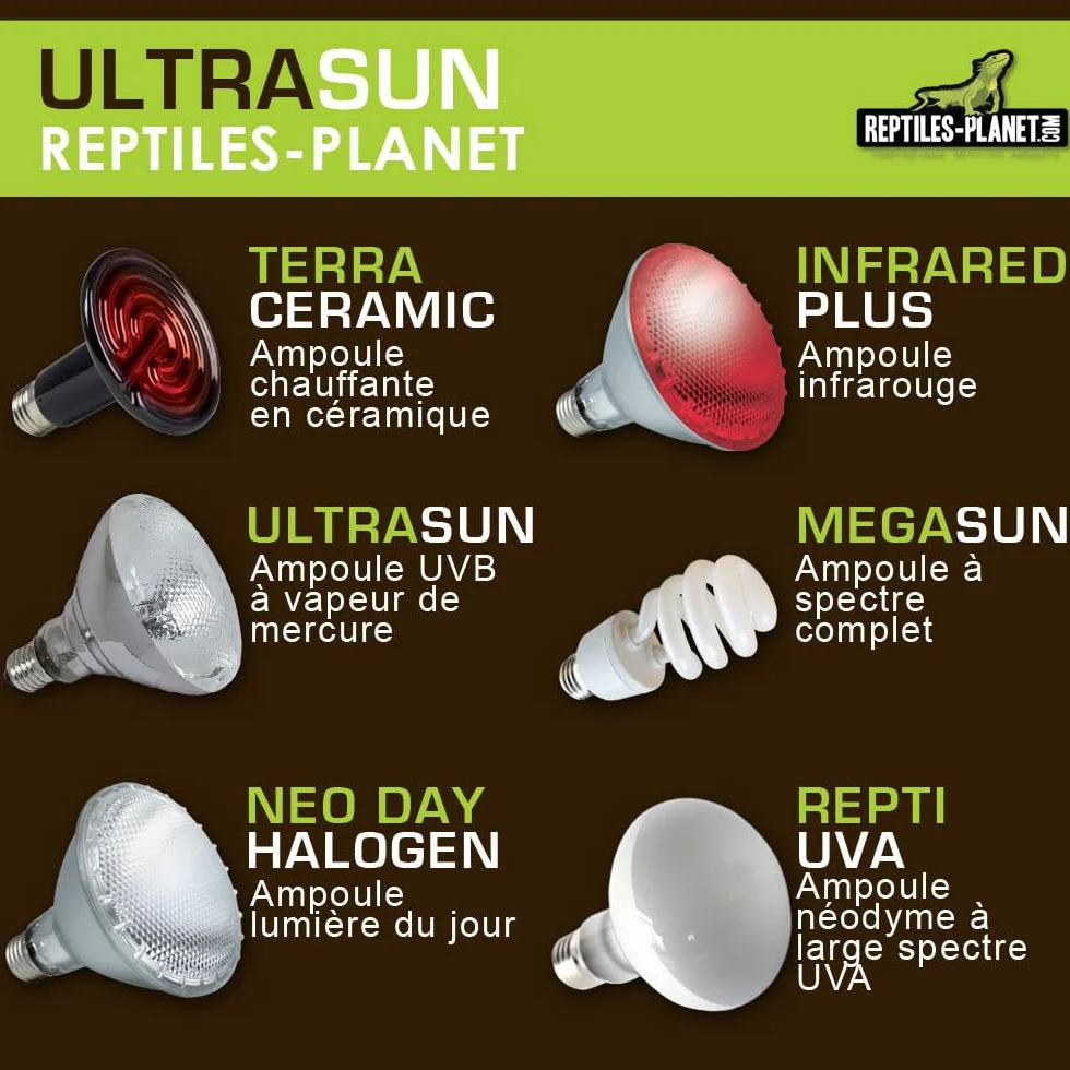 Reptiles Planet Ultrasun 70 W Ampoule UVA UVB pour Reptiles