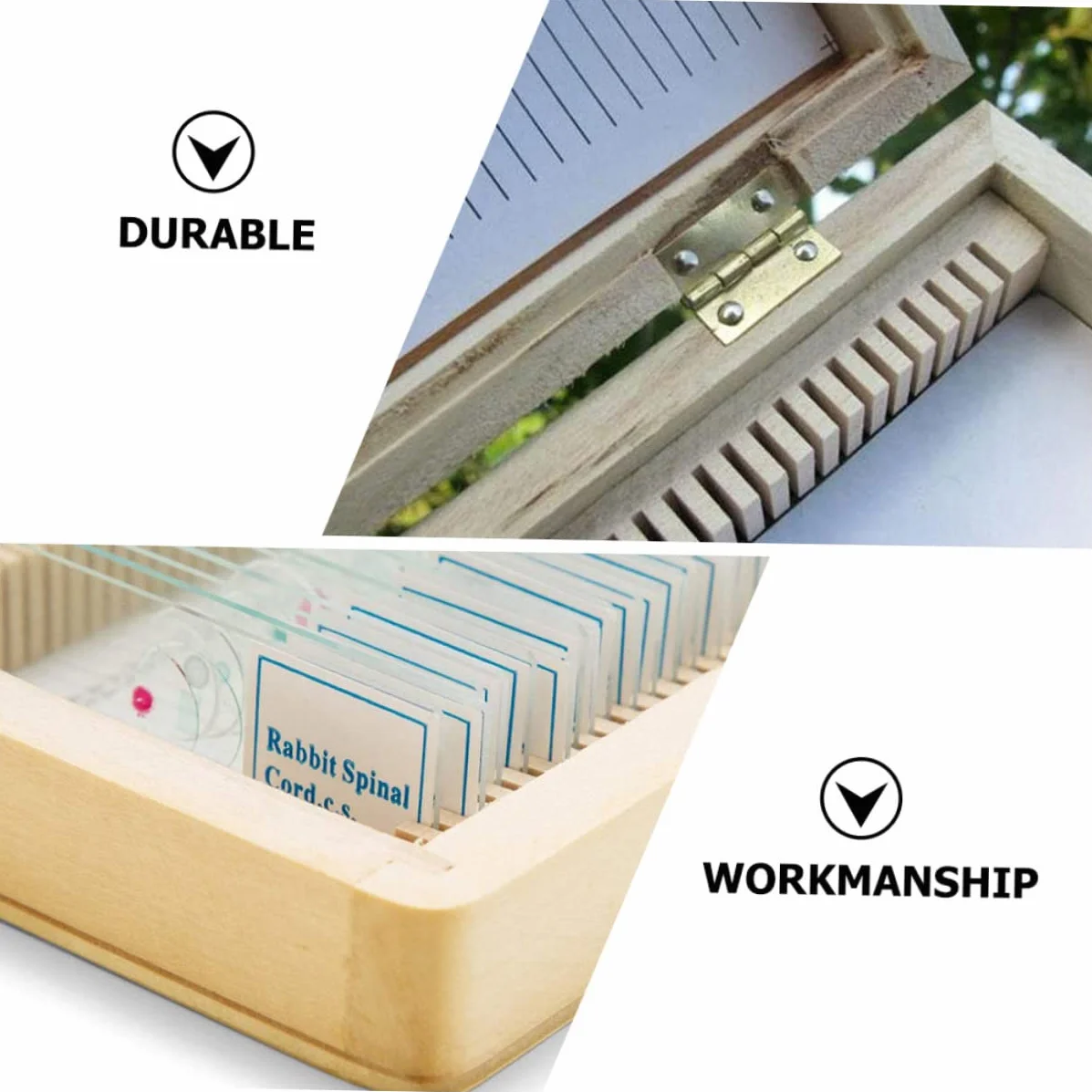 Amosfun Boîte Coulissante en Bois Compacte et Facile à Transporter Compartiments Numérotés pour 50 Lames de Microscope pour Collection de Spécimens