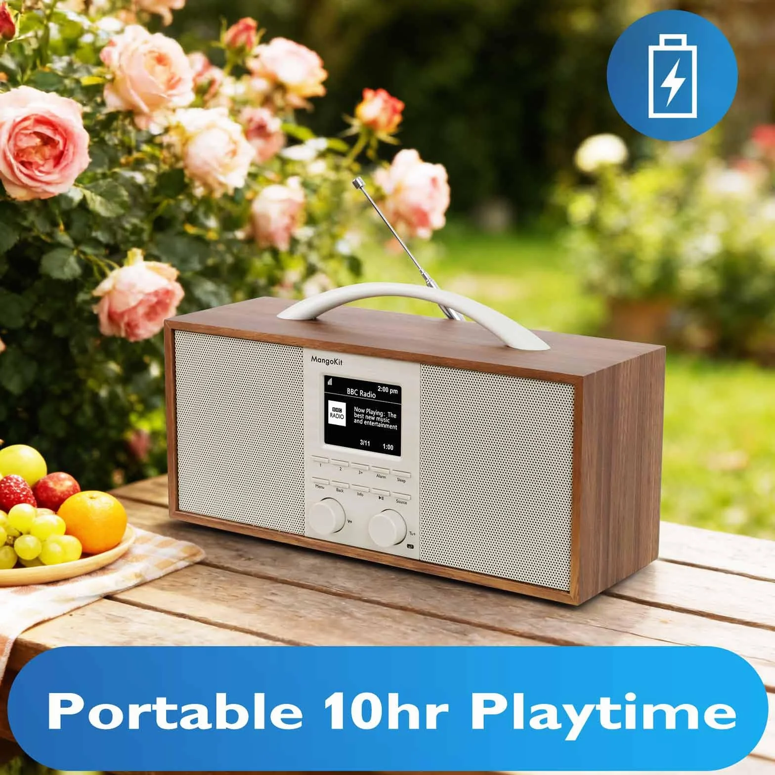 SR40 Radio Internet Rechargeable avec Bluetooth,Podcast Player-Radio Dab/Dab+ et FM stéréo, Batterie 10+ Heures, Véritable Son 2.0, 150 présélections,boîtier Bois et poignée Aluminium-Noyer