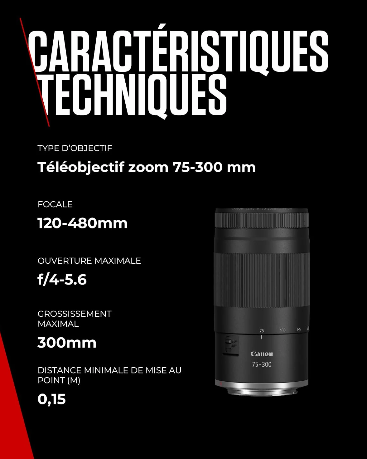 Objectif Canon RF 75-300mm F4-5.6 Téléobjectif Zoom pour Photographie Animalière Sportive Moteur AF Traitement Super Spectra Compatible EOS R