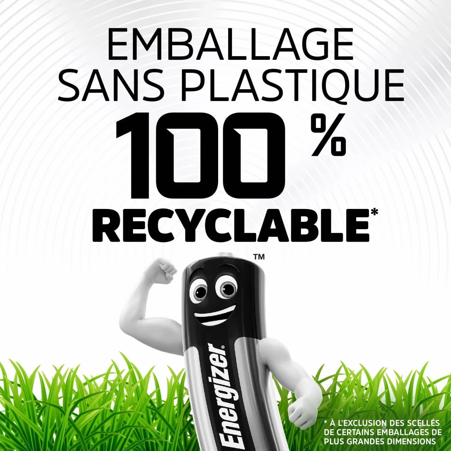 Energizer Advanced Piles AA LR6 Alcaline 1,5 V Lot de 16 Haute Performance