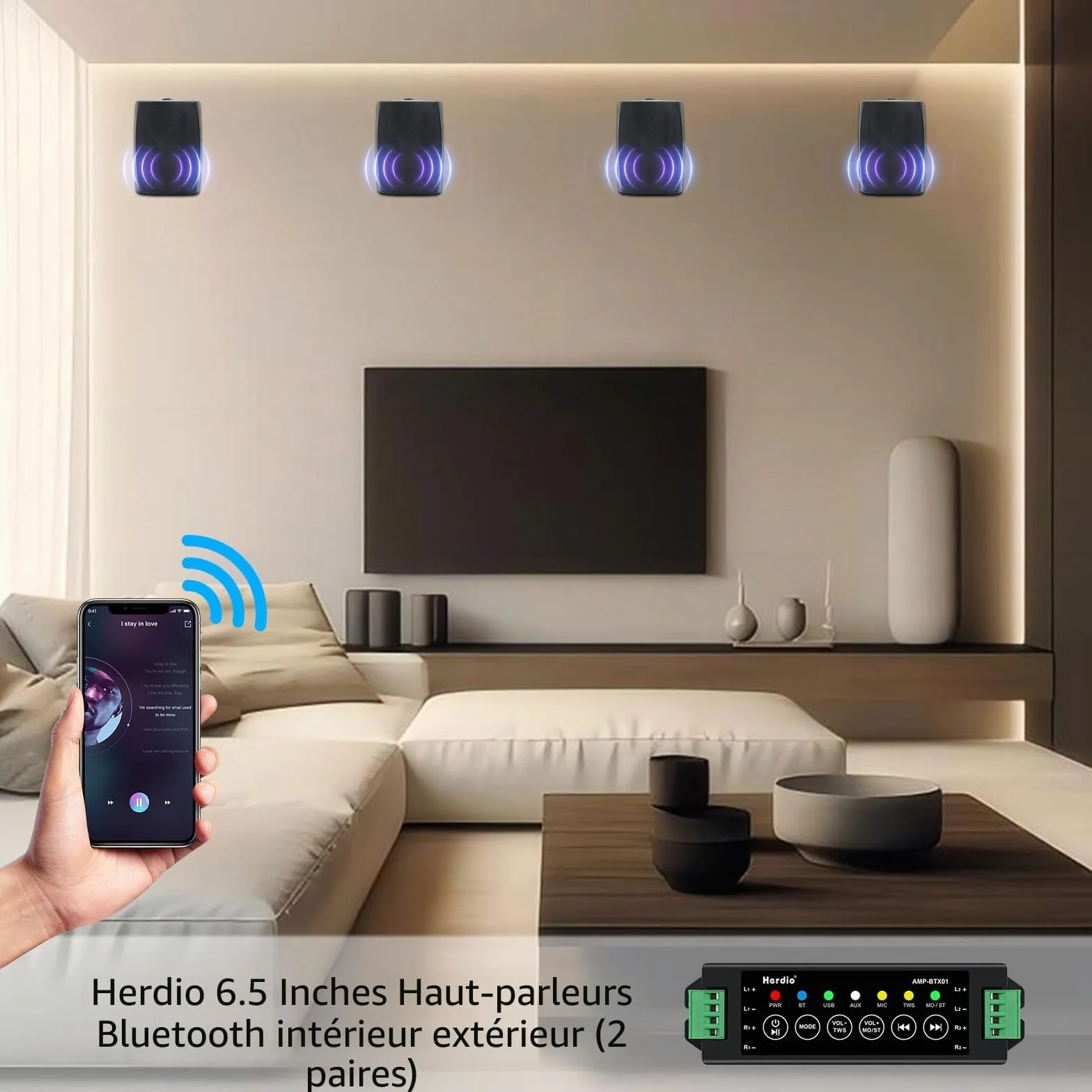 Herdio 6,5 Pouces 800 W Haut-parleurs Bluetooth d'extérieur, filaires étanches avec amplificateur Multifonctionnel, Haut-parleurs muraux pour terrasse, Piscine, Jardin (Noir)