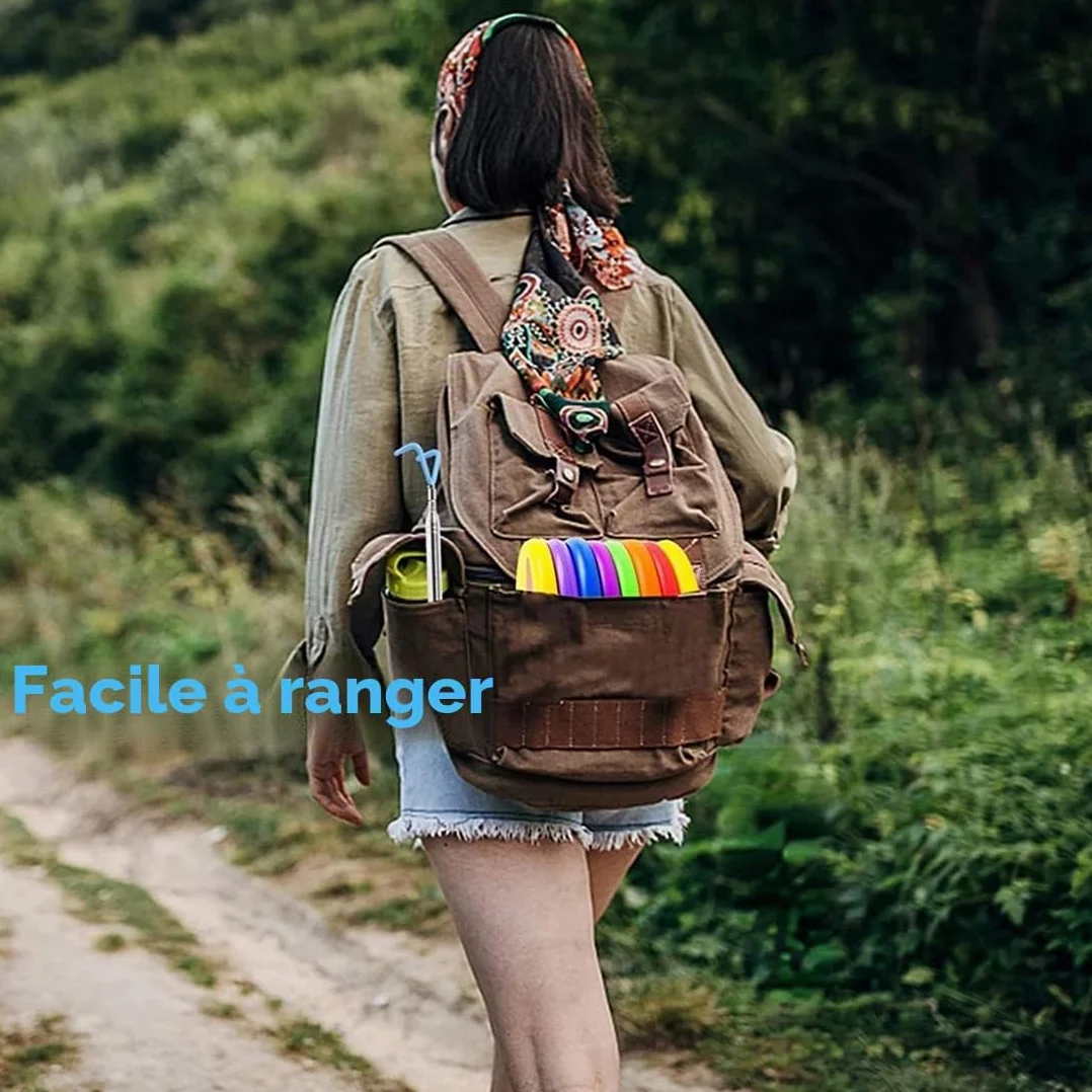 Perche télescopique 3 m avec crochet pour disque