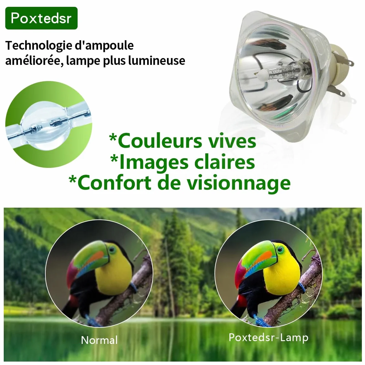 P-VIP 0.8 E20.9 Lampe de remplacement pour projecteur compatible BENQ TX538 EP5920