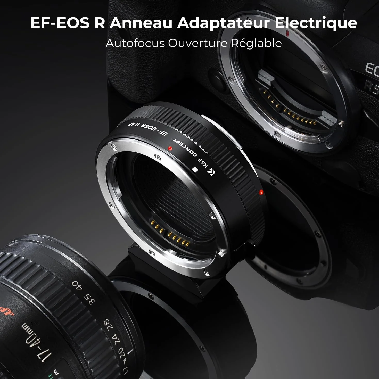 K&F CONCEPT compatibile Con Canon Auto EF/EF-S vers EOS R Adaptateur Métal avec Autofocus avec étui de Protection