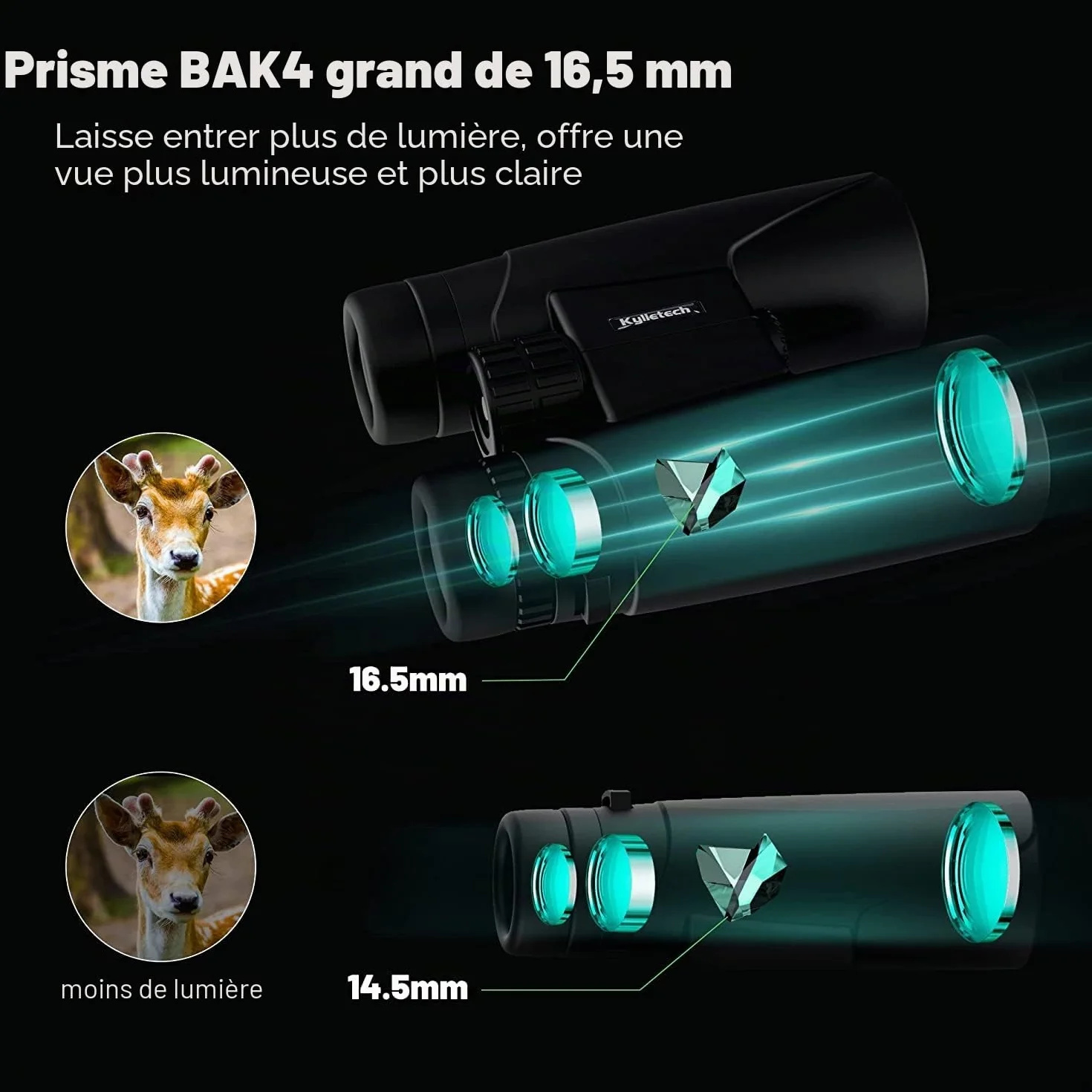 Kylietech 12x42 Jumelles pour Adultes BAK4 Prism FMC Lentille Compact Antibuée Étanche Observation Oiseaux Voyage Chasse Concerts