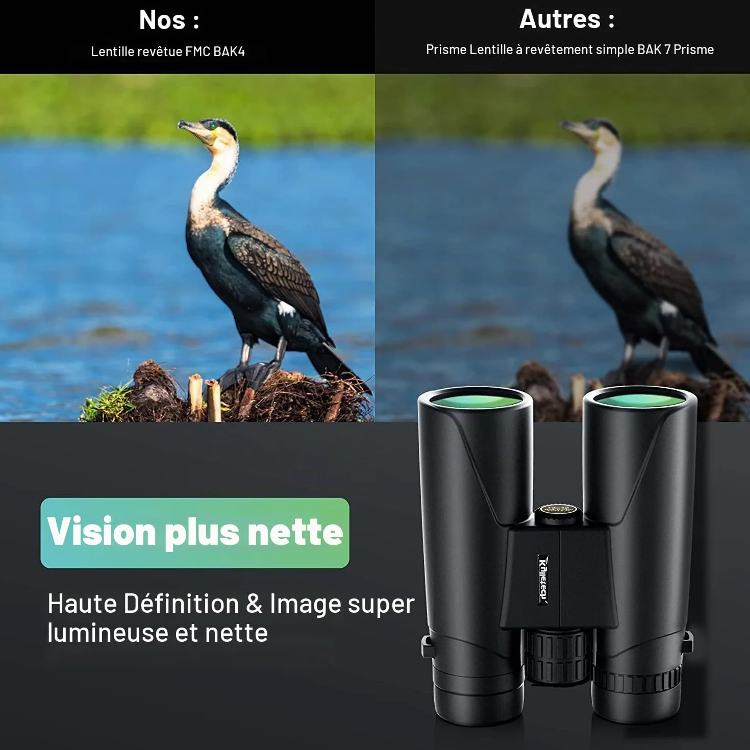 Kylietech 12x42 Jumelles pour Adultes BAK4 Prism FMC Lentille Compact Antibuée Étanche Observation Oiseaux Voyage Chasse Concerts