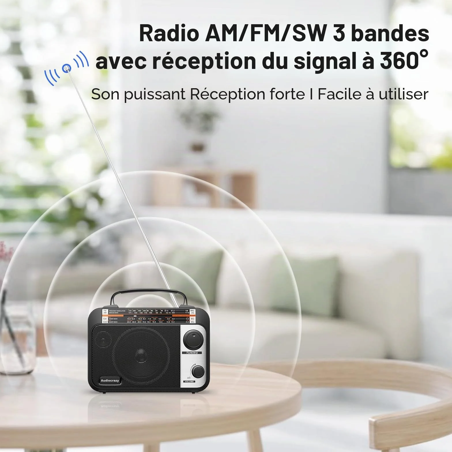 Radio Portable FM/AM/SW1-2 Radio Multibande avec Batterie Rechargeable 1800 mAh, Câble AC Ou Radio FM Portable avec Piles, Haut-parleurs, Prise Casque, Entrée AUX Noir