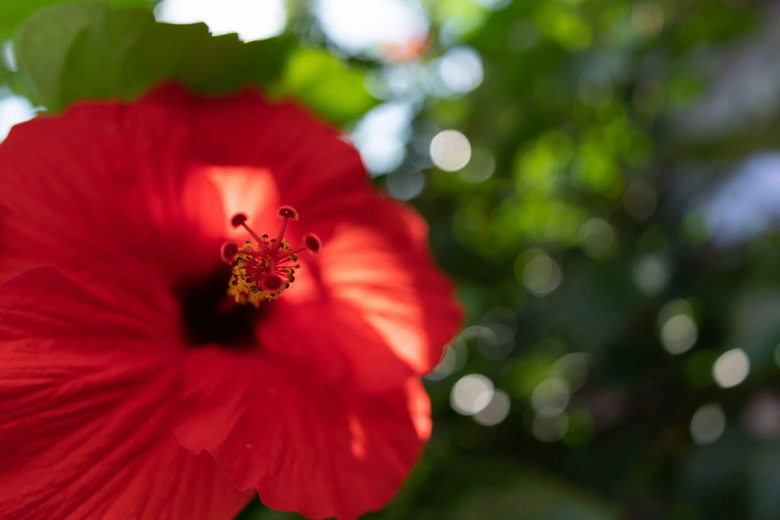 Tamron 24mm F/2.8 Di III OSD M1:2 Sony FE