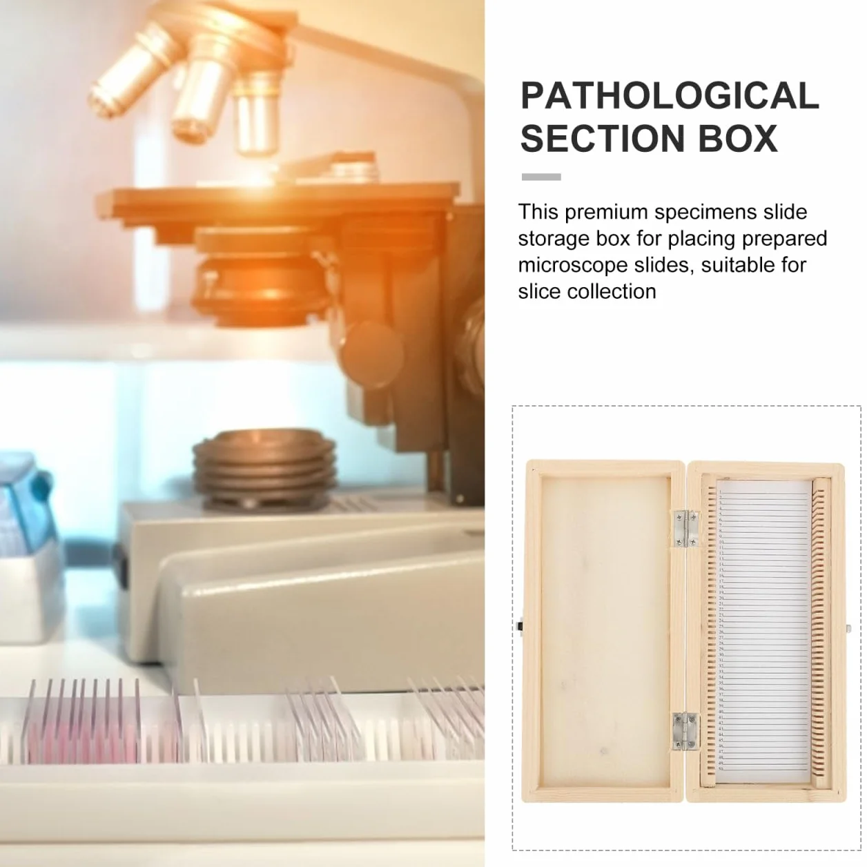 Boîte de Rangement pour Lames de Microscope 50 Lames Métal Nickelé Serrure