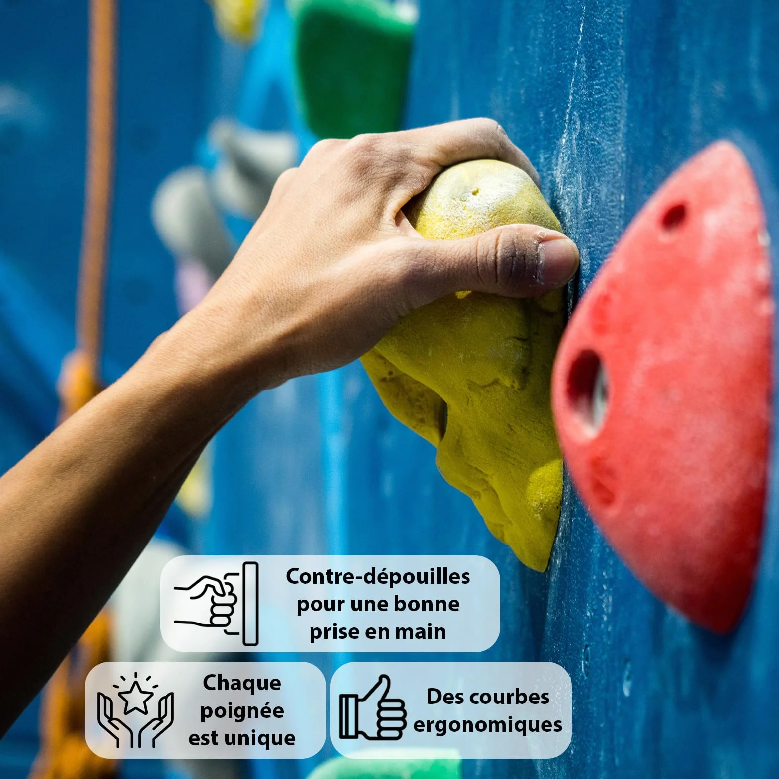 ALPIDEX Prises d'Escalade M/L | Petites Prises d'Anse | Marchepieds | Différentes Contre-Dépouilles Couleurs Formes