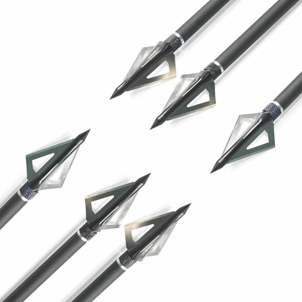 Pointes de Flèches 100 Grain Broadheads Tir à l'arc Conseils avec Boîte Chasse