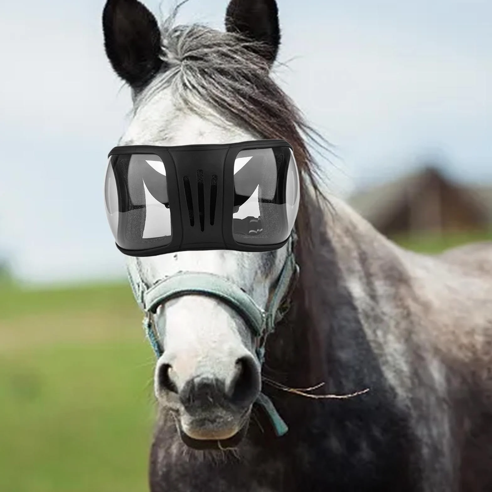 Lunettes de Chevaux Anti-poussière UV400 15x27 cm Clair et Noir