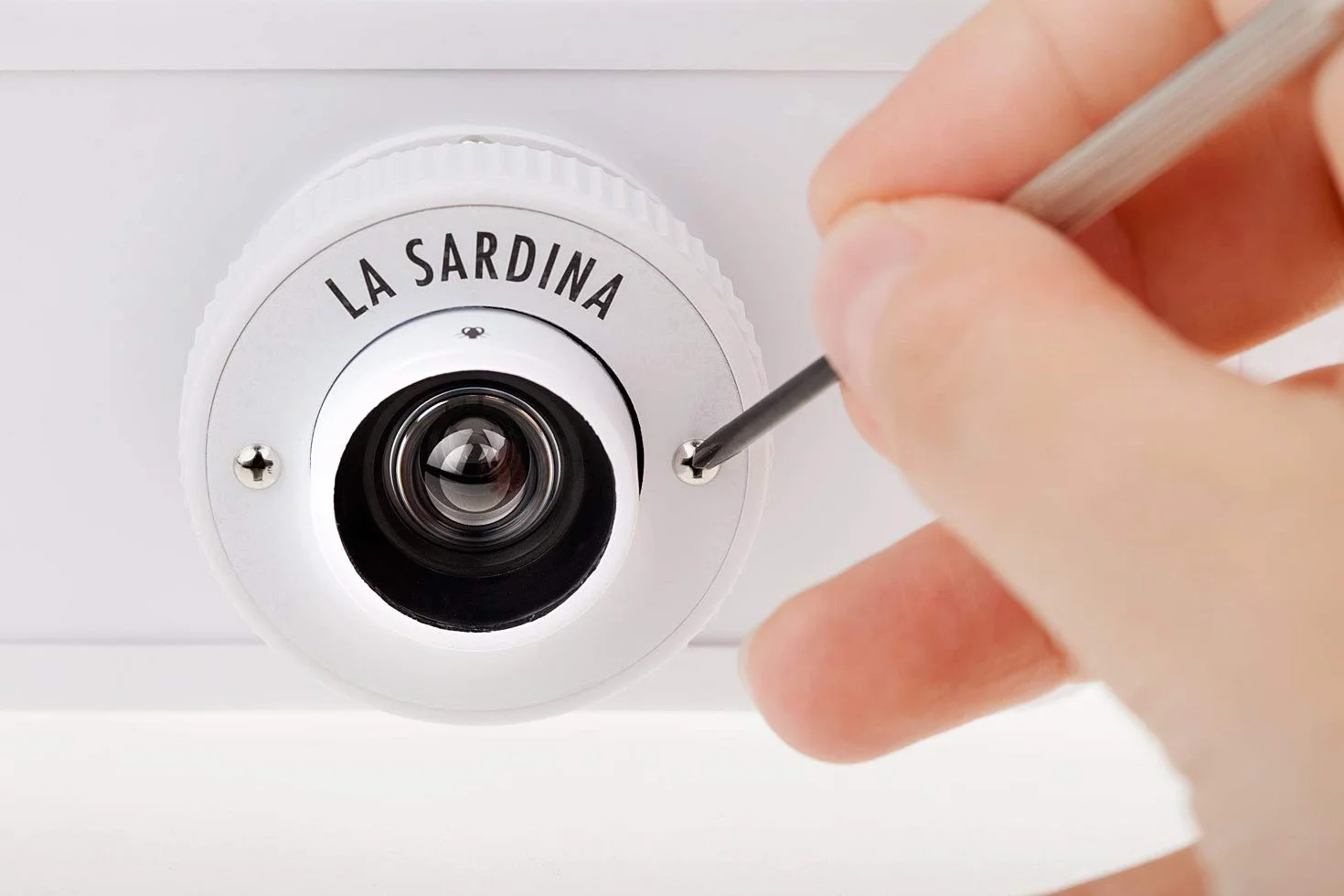 La Sardina and Flash DIY