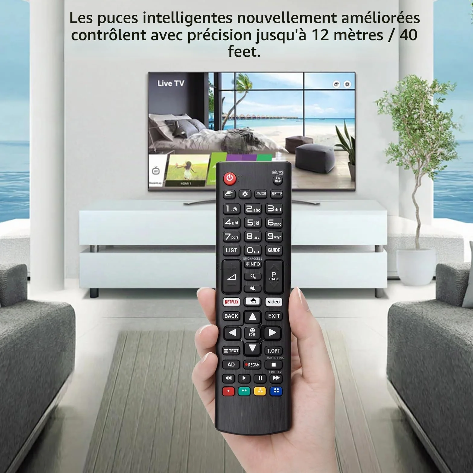 Universelle Telecommande LG Smart TV avec Piles