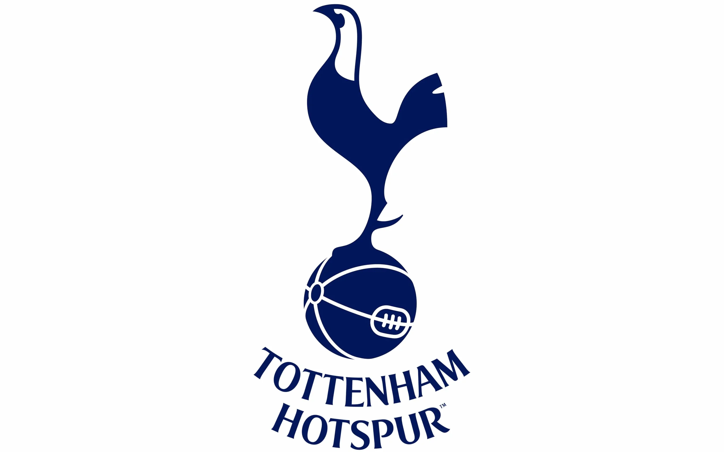 Tottenham Hotspur FC Gonk GNOME 33 cm Peluche Officielle Spurs Cadeau Noël