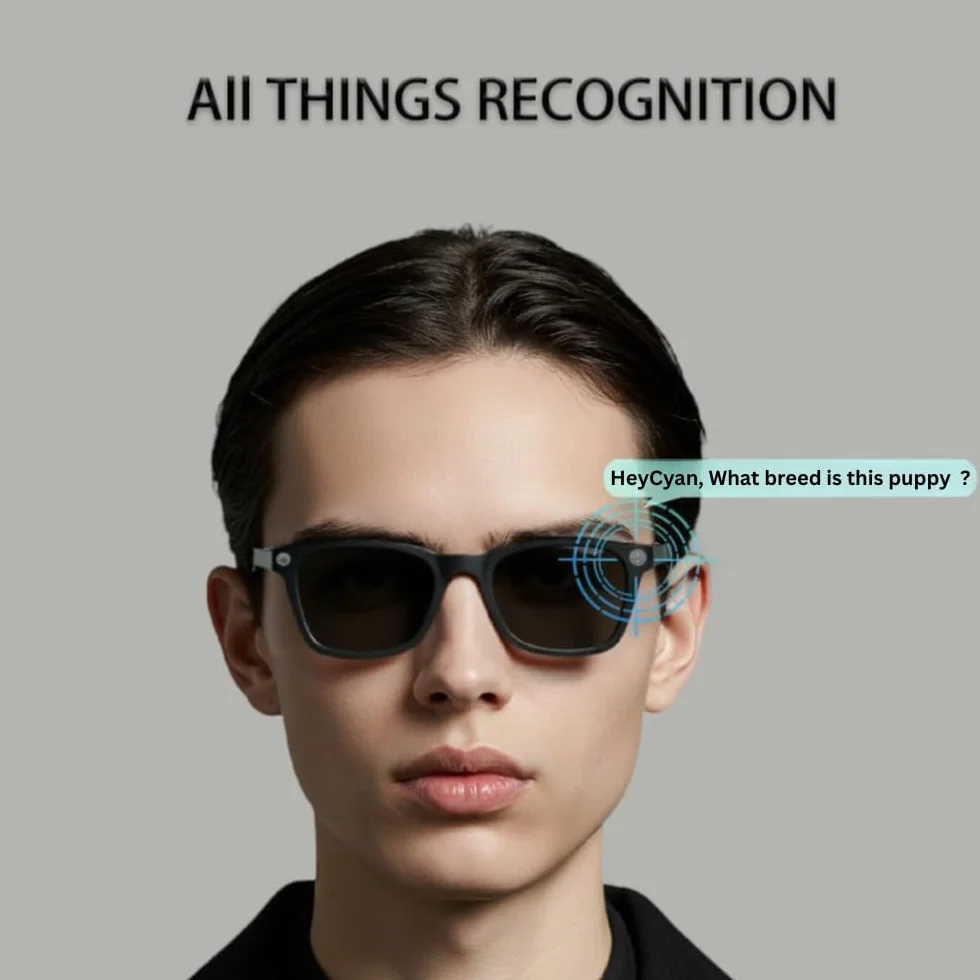 Watchily Lunettes connectées, Caméra Intégrée, ChatGPT – SmartView Pro - Verres Noirs et Transparents