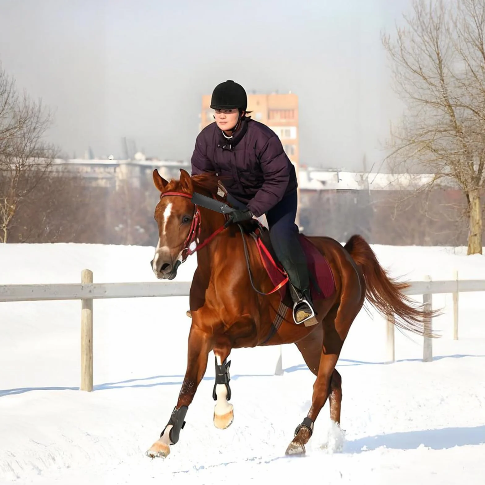 Cravache Noire en Cuir pour Cheval d'Équitation Dressage