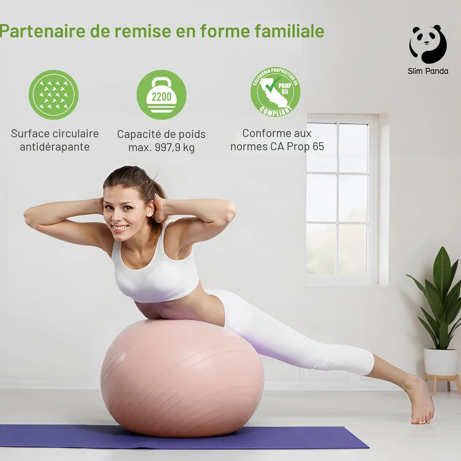 Ballon Pilates Slim Panda 55-85cm Anti-Slip Ballon de Gymnastique avec Paille de Gonflage
