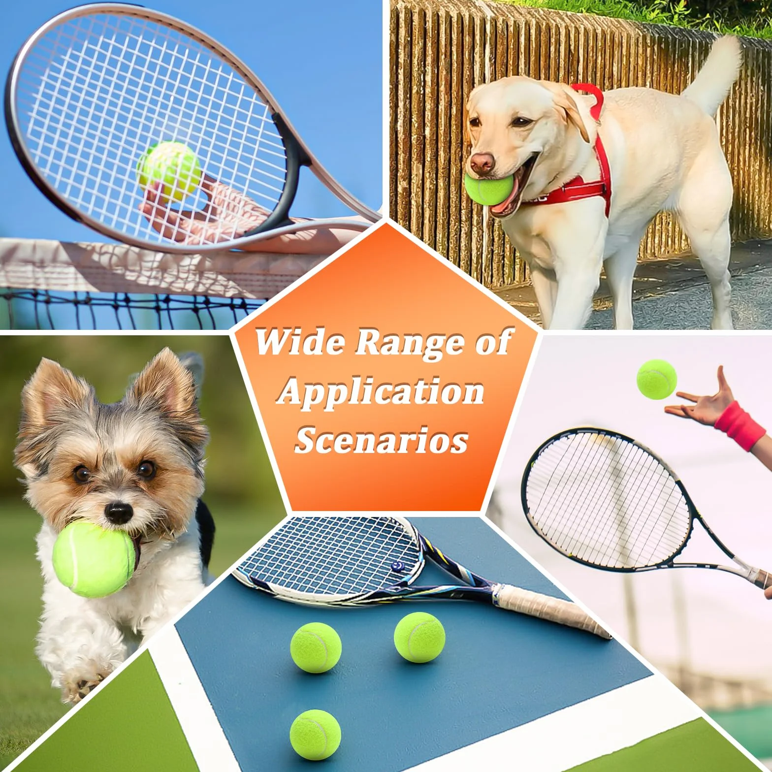 Lot de 6 balles de tennis d'entraînement élastiques résistantes et rapides pour intérieur extérieur