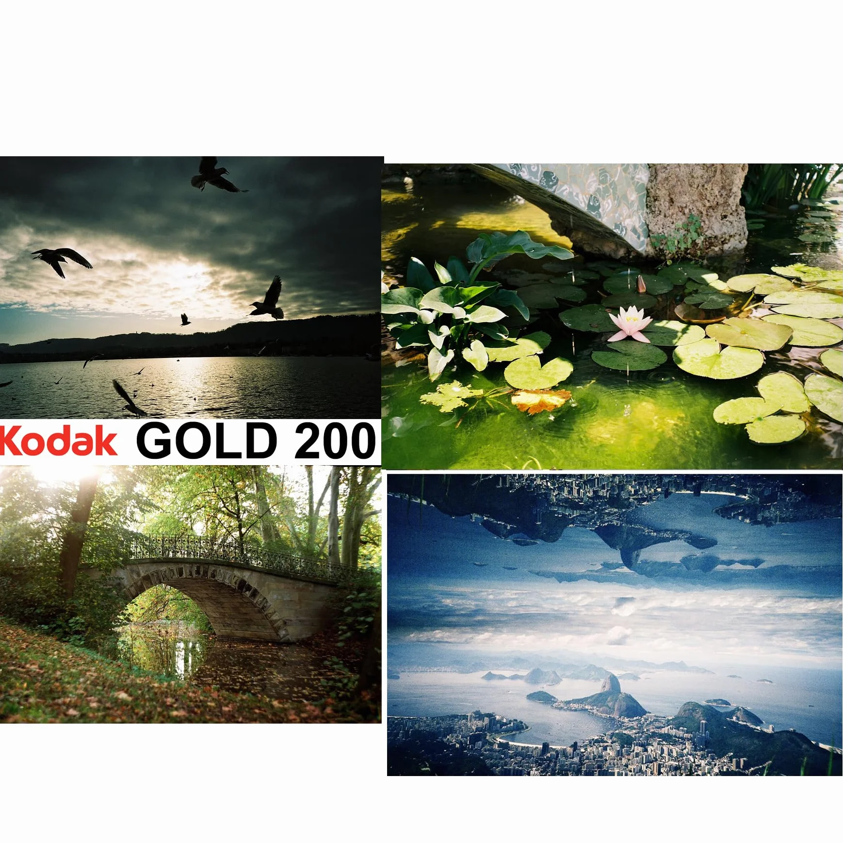 Kodak GOLD CAT 603 3997 Pellicules 35mm ISO 200 - 24x36mm
