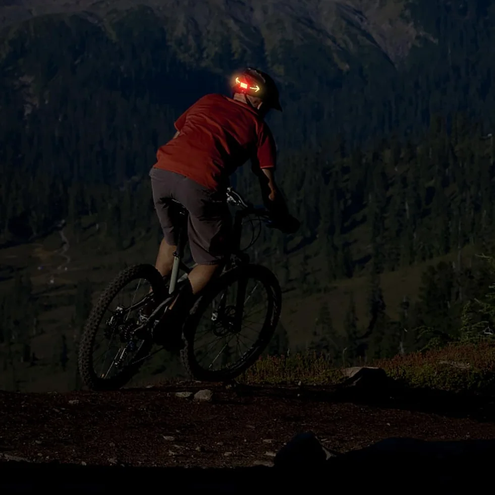 Feu Arrière de Vélo NIUAWASA Télécommande sans Fil 6 Modes Étanche Rechargeable USB Noir