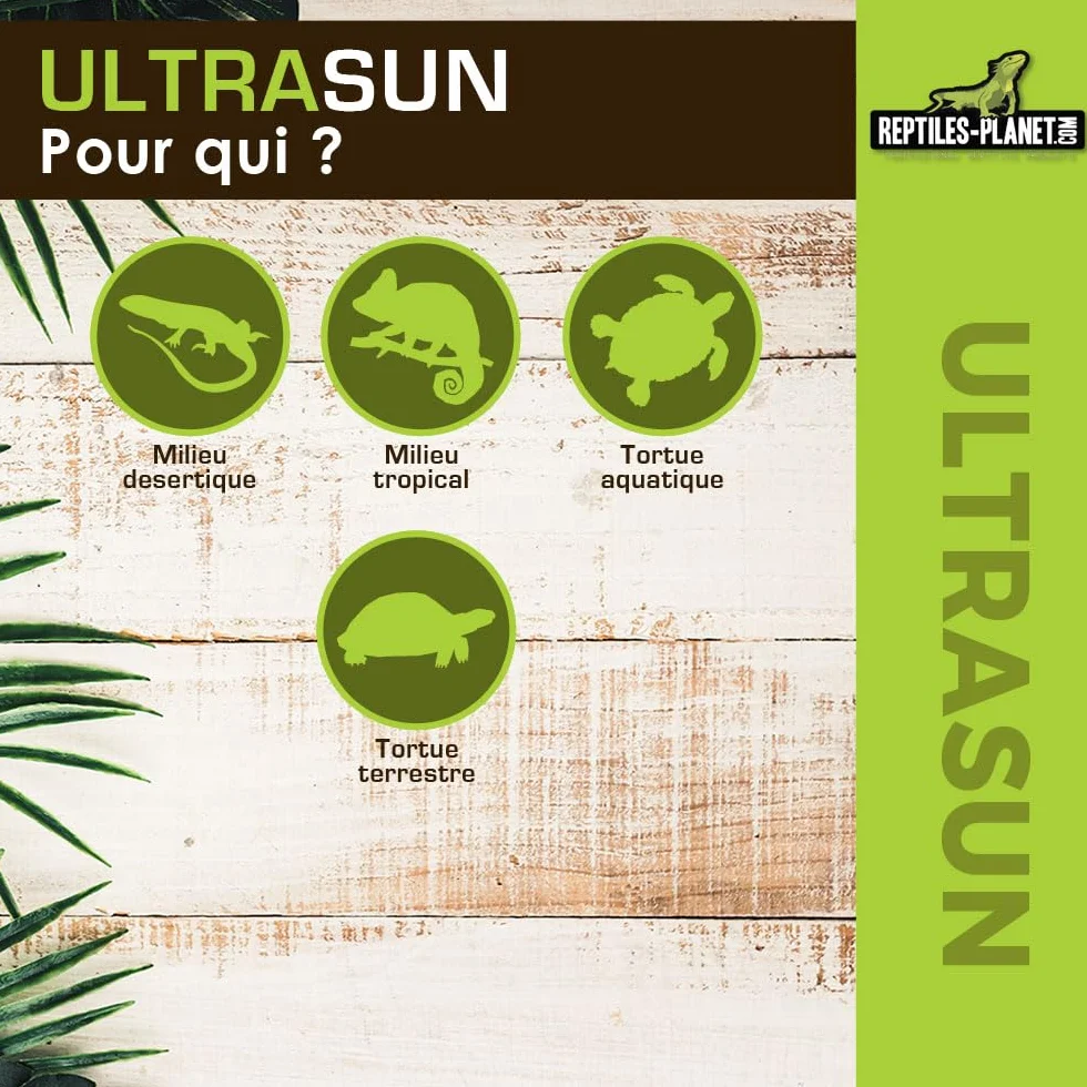 Reptiles Planet Ultrasun 70 W Ampoule UVA UVB pour Reptiles